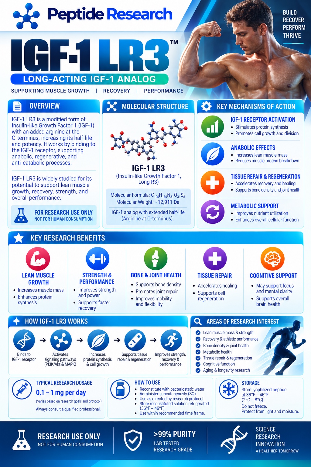 IGF-1 LR3 research flyer